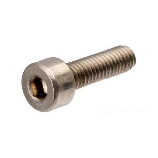 OEM 27579-88 W&W Socket Head Screws Stainless 65-433