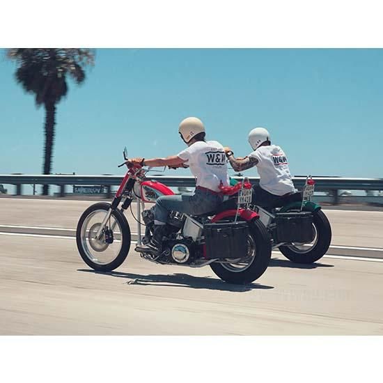 W&W Tsubaki Delta 530 Secondary Chain 76-854