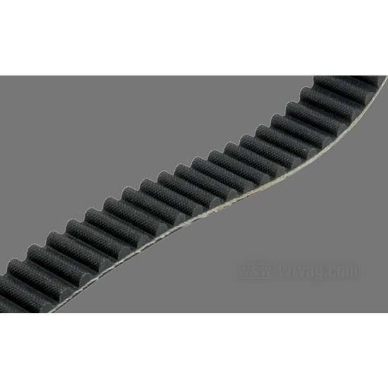 W&W Primo 14 mm Primary Belts 80-140