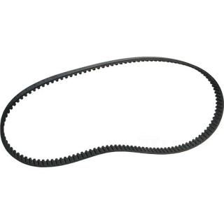 OEM 40003-79 W&W Rear Drive Belts 80-144