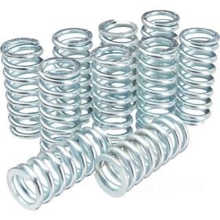 W&W Heavy-Duty Clutch Springs 80-445