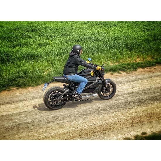 OEM 40000019 W&W Rear Drive Belts 80-854