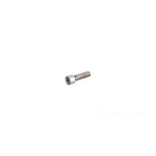 W&W Socket Head Screws Stainless Polished 83-561