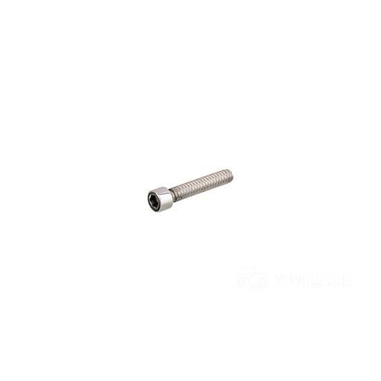 W&W Socket Head Screws Stainless Polished 83-563