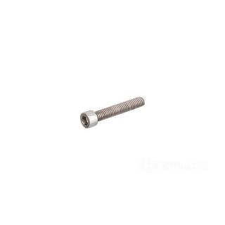 W&W Socket Head Screws Stainless Polished 83-585