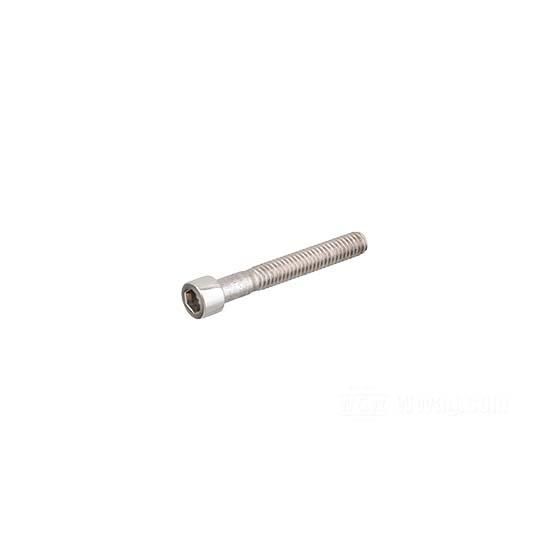 W&W Socket Head Screws Stainless Polished 83-586