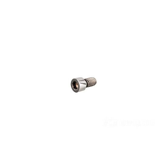 W&W Socket Head Screws Stainless Polished 83-600