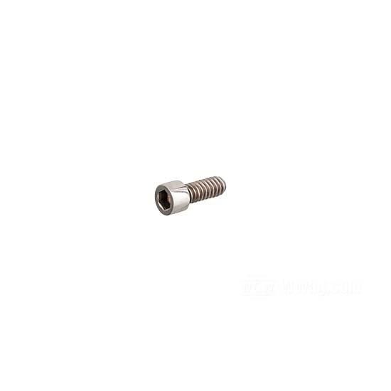 W&W Socket Head Screws Stainless Polished 83-601