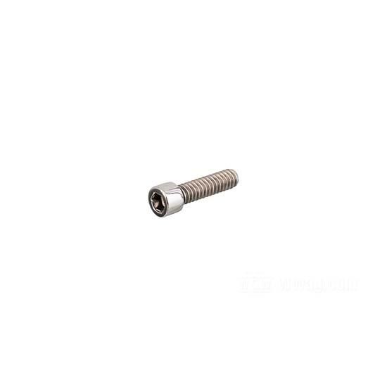 W&W Socket Head Screws Stainless Polished 83-603