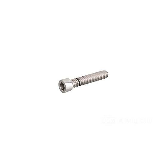 W&W Socket Head Screws Stainless Polished 83-605