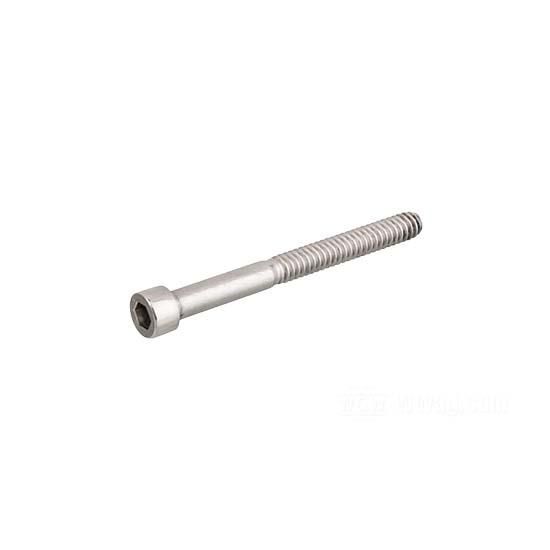 W&W Socket Head Screws Stainless Polished 83-609