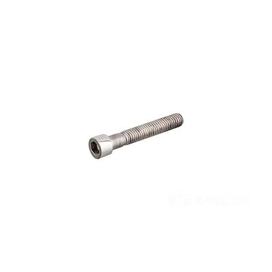 W&W Socket Head Screws Stainless Polished 83-626