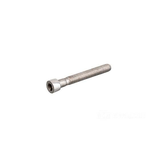 W&W Socket Head Screws Stainless Polished 83-627