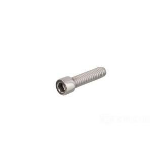 W&W Socket Head Screws Stainless Polished 83-645