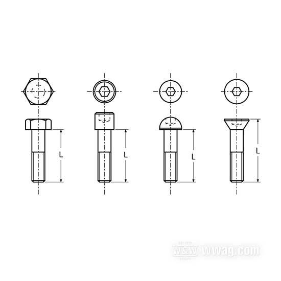 W&W Socket Head Screws Stainless Polished 83-646