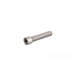 W&W Socket Head Screws Stainless Polished 83-646