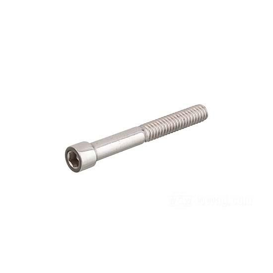 W&W Socket Head Screws Stainless Polished 83-649