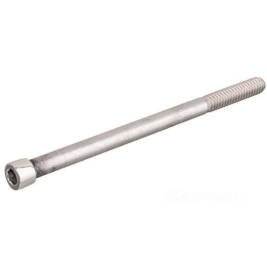 W&W Socket Head Screws Stainless Polished 83-655
