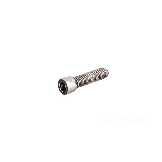 W&W Socket Head Screws Stainless Polished 83-665