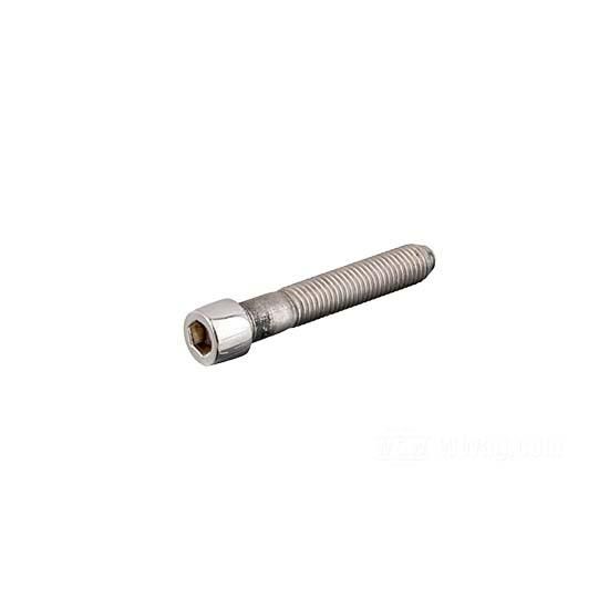 W&W Socket Head Screws Stainless Polished 83-667