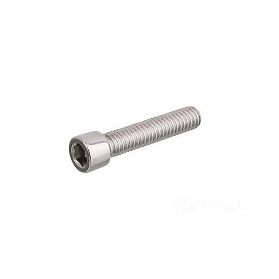W&W Socket Head Screws Stainless Polished 83-687