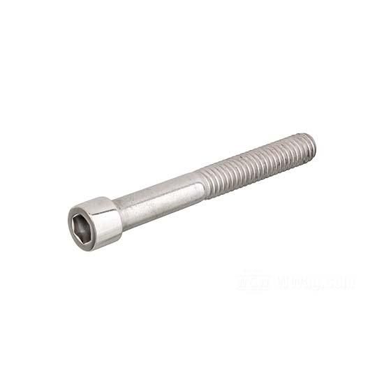 W&W Socket Head Screws Stainless Polished 83-691