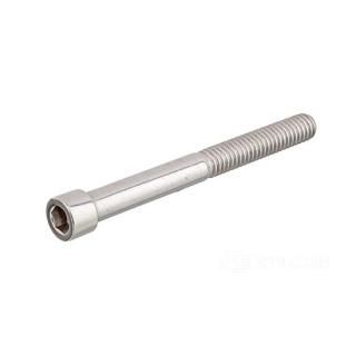 W&W Socket Head Screws Stainless Polished 83-693