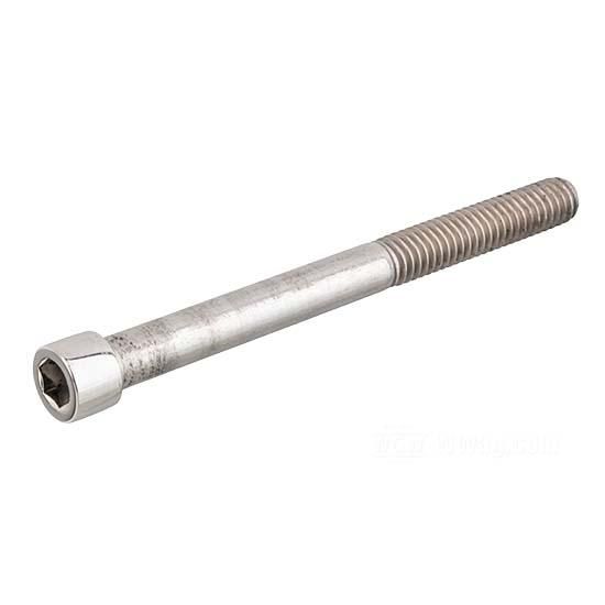 W&W Socket Head Screws Stainless Polished 83-694