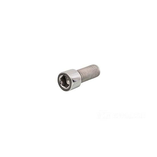 W&W Socket Head Screws Stainless Polished 83-703