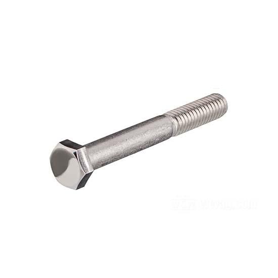 W&W Hex Head Screws Stainless Polished 83-330