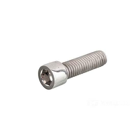 W&W Socket Head Screws Stainless Polished 83-767