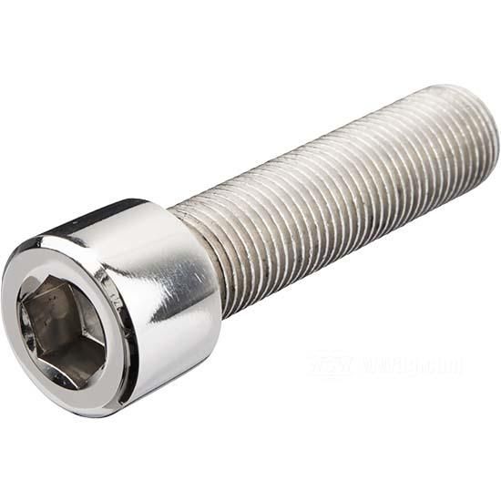 W&W Socket Head Screws Stainless Polished 83-784