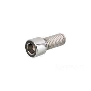 W&W Socket Head Screws Stainless Polished 83-786