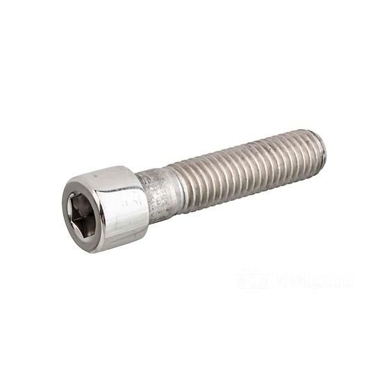 W&W Socket Head Screws Stainless Polished 83-790