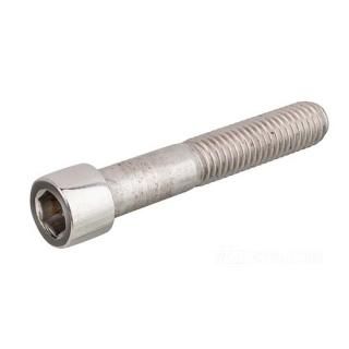 W&W Socket Head Screws Stainless Polished 83-793