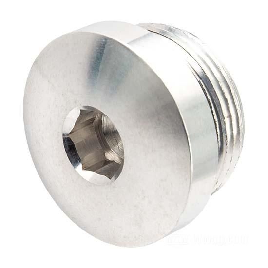 W&W Sportster Primary Cover Plugs Allen Head 84-126