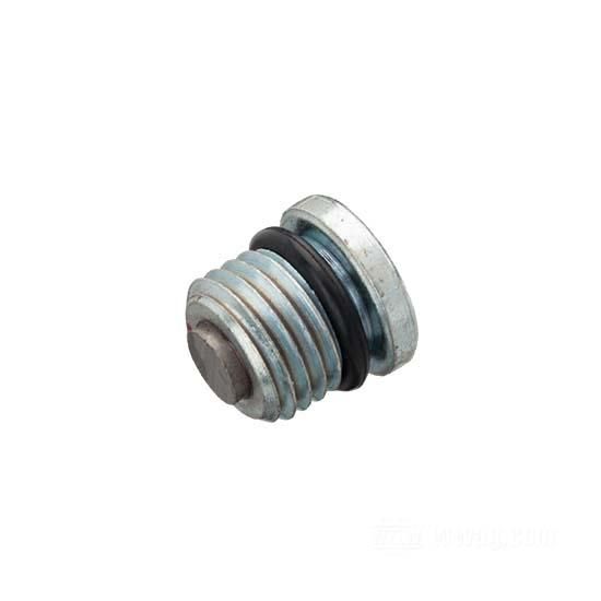 OEM 60391-04 W&W Drain Plugs for Primary Housings 5-Speed Big Twins and Softail Transmissions 84-858