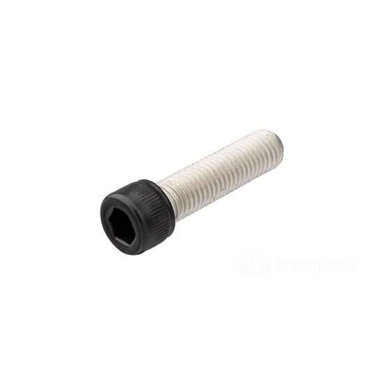W&W Socket Head Screws Stainless Black 84-954
