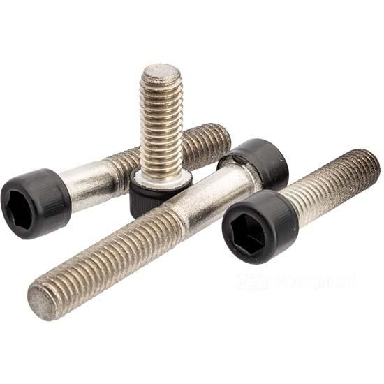 W&W Socket Head Screws Stainless Black 84-962