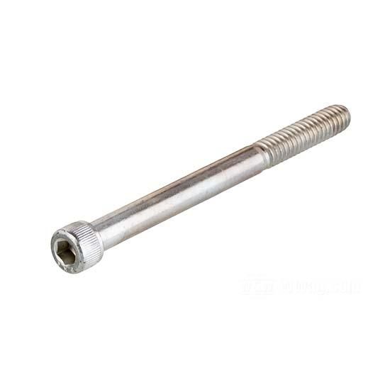 W&W Socket Head Screws Zinc-plated 85-719