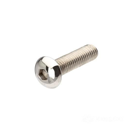 W&W Buttonhead Socket Screws Stainless Polished 89-302