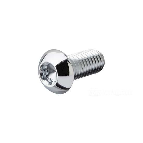 W&W Buttonhead Torx Screws Chrome-plated 89-779