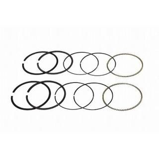 HASTINGS 3-5/8" ٥إå ԥȥ  å .020 С ࡦϡ졼 11-0254