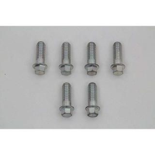 STEEL D-RING 塼 ɥߥ 6 ԡ 1948-1965 FL ϡ졼 2016-6