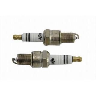 ACCEL ѡץ饰 å 2403 32-0236