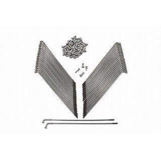 BUCHANAN 21 ƥ쥹 ƥ ݡ å ࡦϡ졼 45-0662