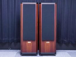 
          TANNOY D500