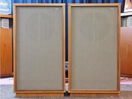
          TANNOY レクタンギュラーヨーク HPD/385/8