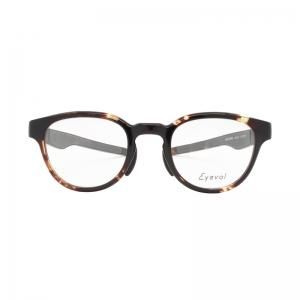 BINGHAM<BR>DM-LG<BR>Eyevol  ᥬ