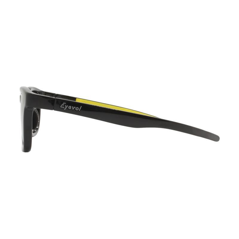 Eyevol アイヴォル WINZELER Ⅱ XLのサングラス 通販ならGLASH BEAM